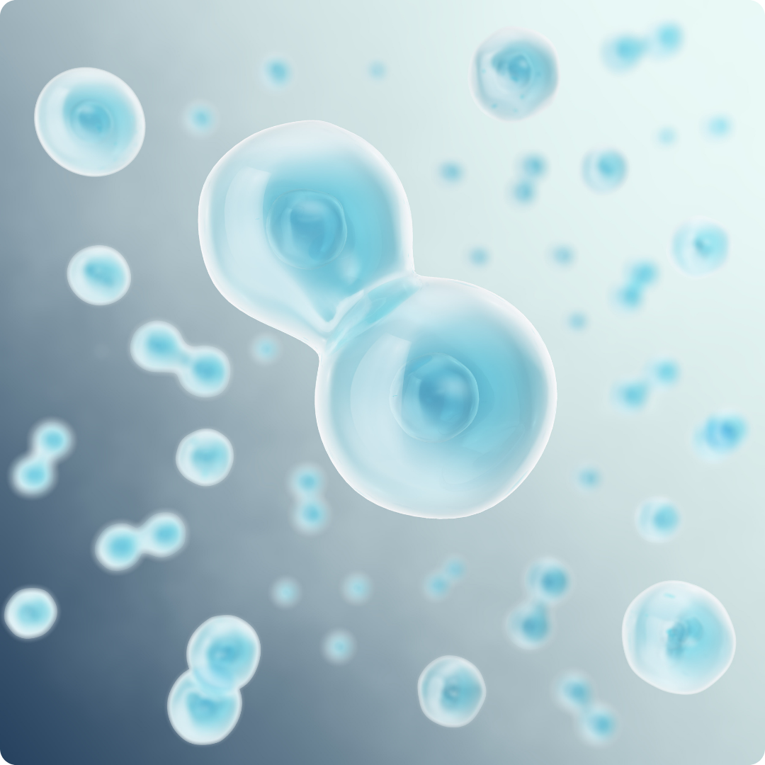 Stem Cell Therapy